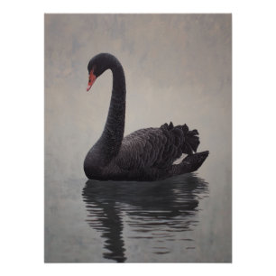 Antique Black Swan Art Print