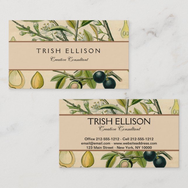Antique Blackthorn Botanical Print Flower Berry Business Card (Front/Back)