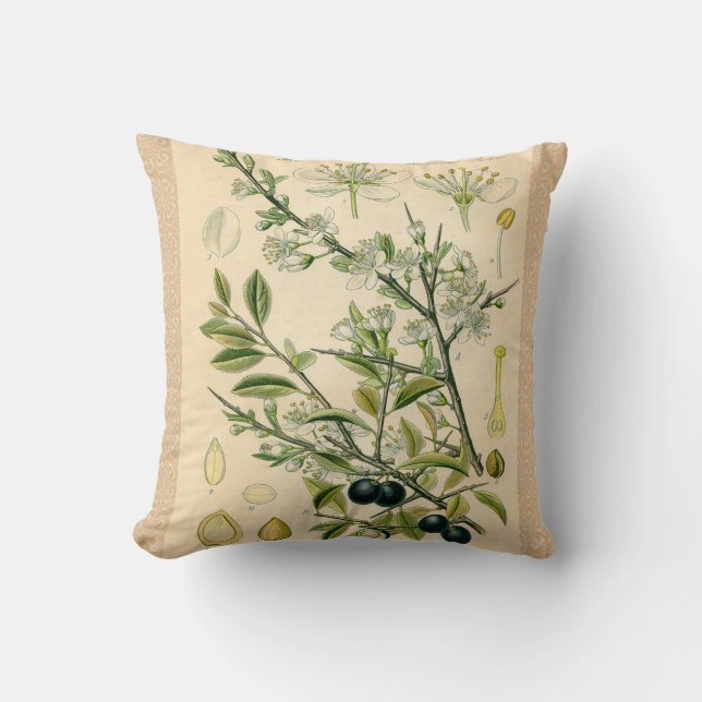 Antique Blackthorn Botanical Print Flower Berry Cushion (Front)