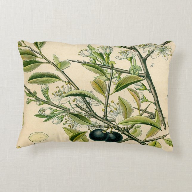 Antique Blackthorn Botanical Print Flower Berry Decorative Cushion (Back)
