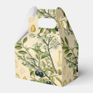 Antique Blackthorn Botanical Print Flower Berry Favour Box