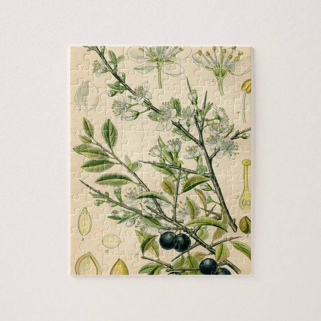 Antique Blackthorn Botanical Print Flower Berry Jigsaw Puzzle (Vertical)