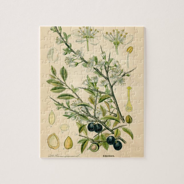 Antique Blackthorn Botanical Print Flower Berry Jigsaw Puzzle (Vertical)