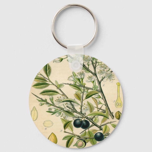 Antique Blackthorn Botanical Print Flower Berry Key Ring (Front)