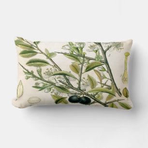 Antique Blackthorn Botanical Print Flower Berry Lumbar Cushion