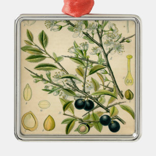 Antique Blackthorn Botanical Print Flower Berry Metal Tree Decoration