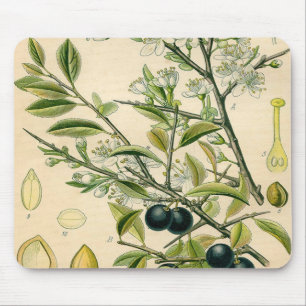 Antique Blackthorn Botanical Print Flower Berry Mouse Mat