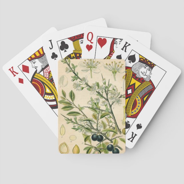 Antique Blackthorn Botanical Print Flower Berry Playing Cards (Back)