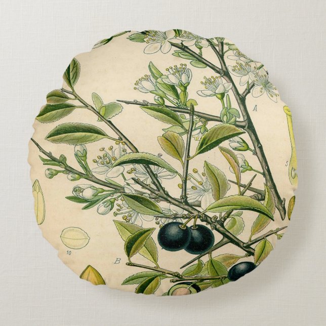 Antique Blackthorn Botanical Print Flower Berry Round Cushion (Front)