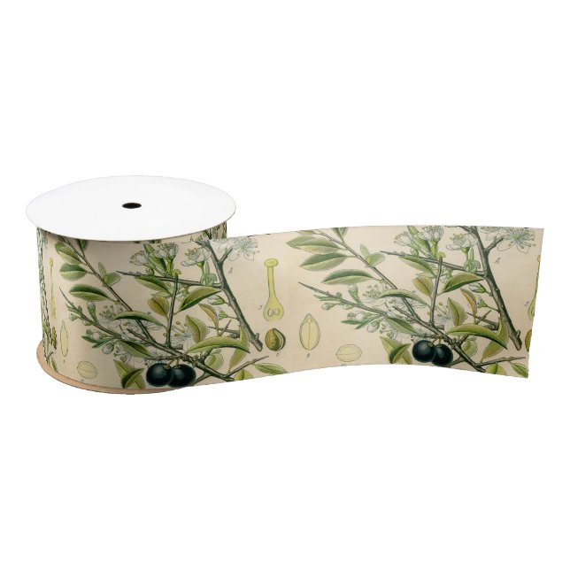 Antique Blackthorn Botanical Print Flower Berry Satin Ribbon (Spool)