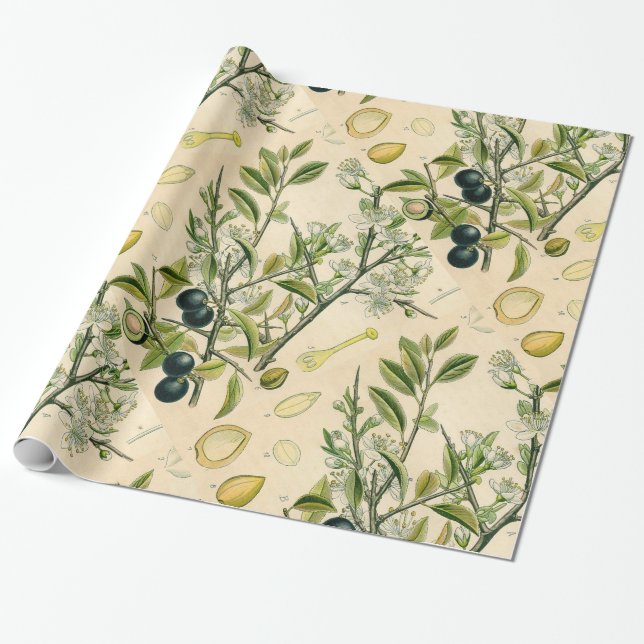 Antique Blackthorn Botanical Print Flower Berry Wrapping Paper (Unrolled)