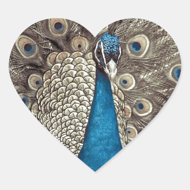 Antique Blue Peacock Heart Sticker (Front)
