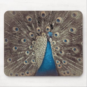Antique Blue Peacock Mouse Mat