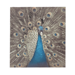 Antique Blue Peacock Notepad