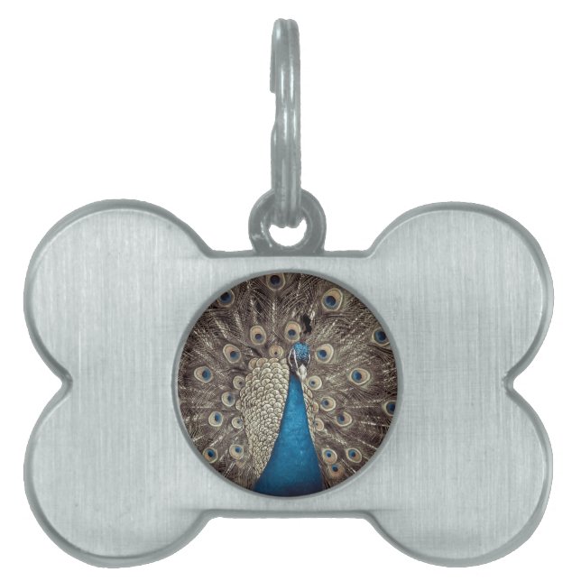 Antique Blue Peacock Pet Name Tag (Front)