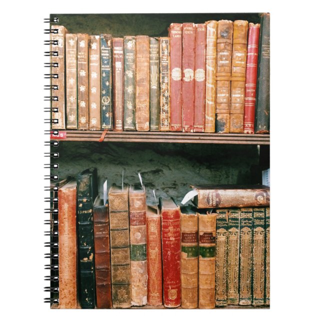 Antique Books (Front)