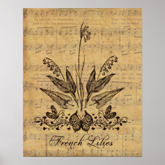 Antique Botanical French Lillies Poster (Front)