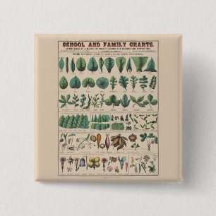 Antique Botanical School Chart Vintage Nature 15 Cm Square Badge
