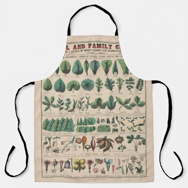 Antique Botanical School Chart Vintage Nature Apron (Front)