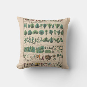 Antique Botanical School Chart Vintage Nature Cushion