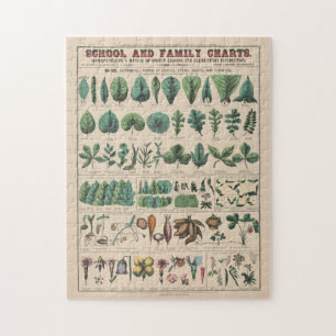 Antique Botanical School Chart Vintage Nature Jigsaw Puzzle