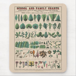 Antique Botanical School Chart Vintage Nature Mouse Mat