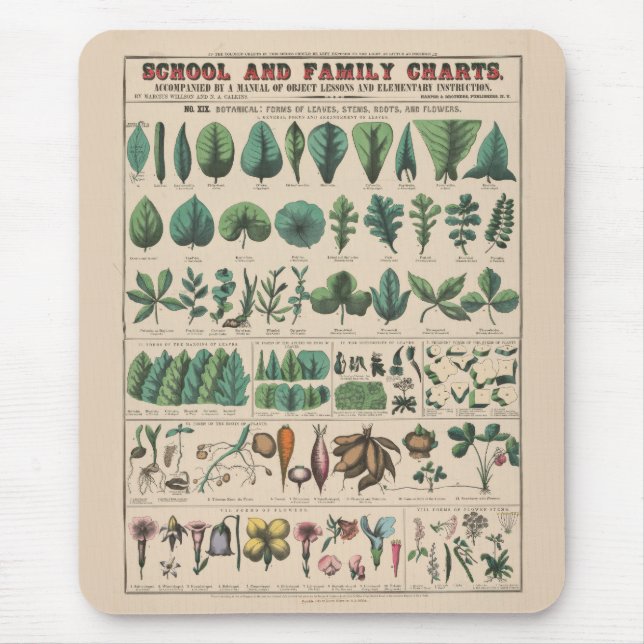 Antique Botanical School Chart Vintage Nature Mouse Mat (Front)