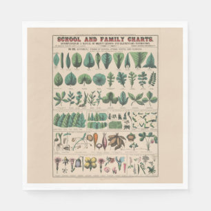 Antique Botanical School Chart Vintage Nature Napkin