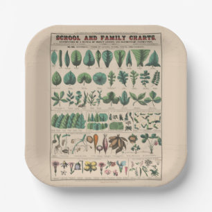 Antique Botanical School Chart Vintage Nature Paper Plate