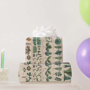 Antique Botanical School Chart Vintage Nature Wrapping Paper