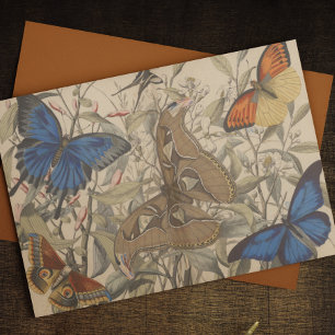 Antique Botanical Vintage Moth Butterfly Decoupage Tissue Paper