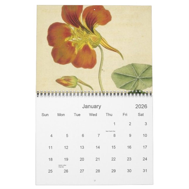 Antique Botanicals Calendar (Jan 2026)