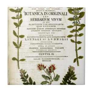 Antique Botany Bookplate Tile