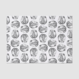 Antique Brain Diagram Illustrations Vintage Tissue Paper