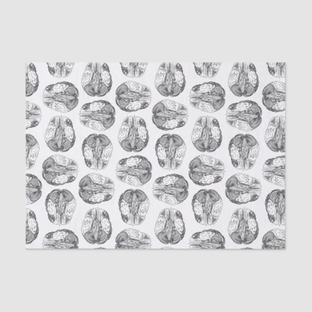 Antique Brain Diagram Illustrations Vintage Tissue Paper (Front)