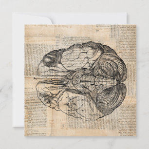 Antique Brain Diagram Old Fashioned Art Invitation