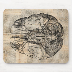 Antique Brain Diagram Old Fashioned Art Mouse Mat