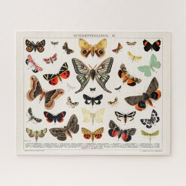 Antique Butterflies and Moths Illustration Insects Jigsaw Puzzle (Horizontal)