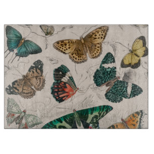 Antique Butterfly Illustration: 1820 Goldsmith Cutting Board