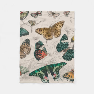 Antique Butterfly Illustration: 1820 Goldsmith Fleece Blanket