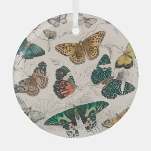 Antique Butterfly Illustration: 1820 Goldsmith Glass Tree Decoration