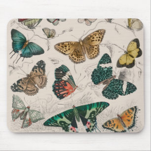 Antique Butterfly Illustration: 1820 Goldsmith Mouse Mat
