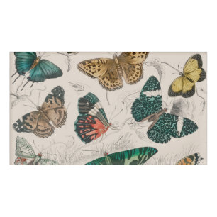 Antique Butterfly Illustration: 1820 Goldsmith Name Tag