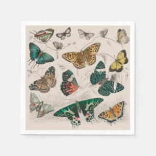 Antique Butterfly Illustration: 1820 Goldsmith Napkin