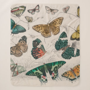 Antique Butterfly Illustration: 1820 Goldsmith Sherpa Blanket