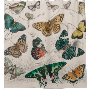 Antique Butterfly Illustration: 1820 Goldsmith Shower Curtain