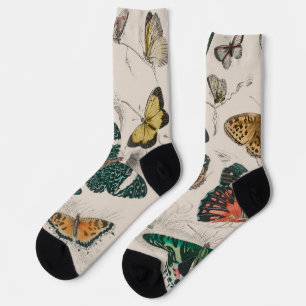 Antique Butterfly Illustration: 1820 Goldsmith Socks