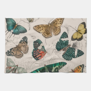 Antique Butterfly Illustration: 1820 Goldsmith Tea Towel