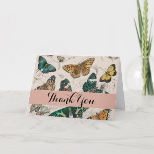 Antique Butterfly Illustration: 1820 Goldsmith Thank You Card