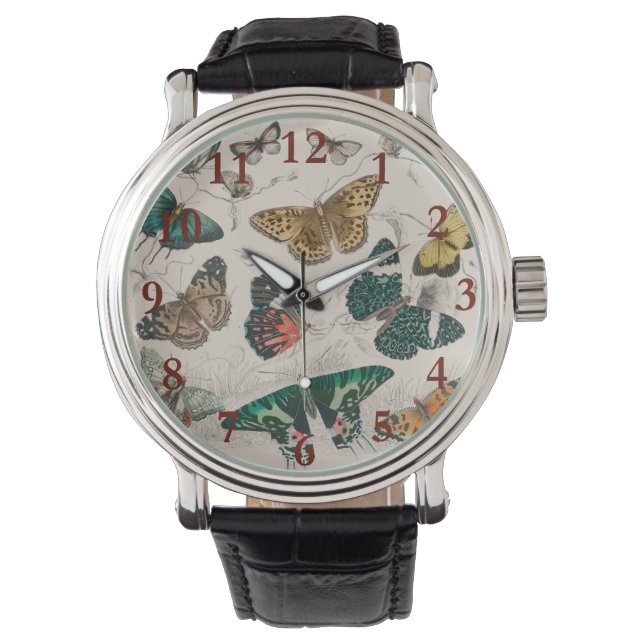 Antique Butterfly Illustration: 1820 Goldsmith Watch (Front)